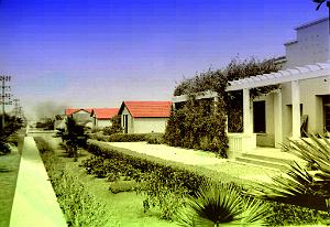 Mazagran 503- Jardin Spiney